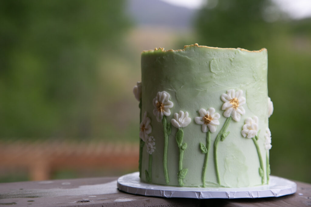 Sweet Spot Cakery 2 WEB Alli Cakes Tiny Timbers Ashography 0303